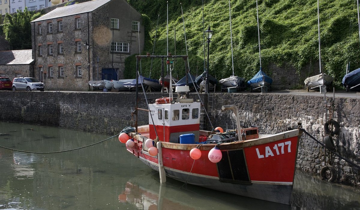 Recognising Signs of Fresh Shellfish Before Cooking