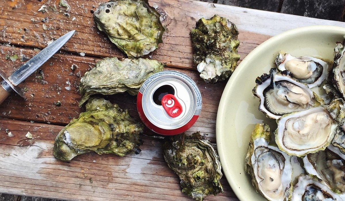 Exploring Norfolk's Coastal Food Markets on Foot