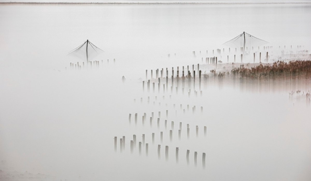 Supporting Sustainable Oyster Farming in British Waters